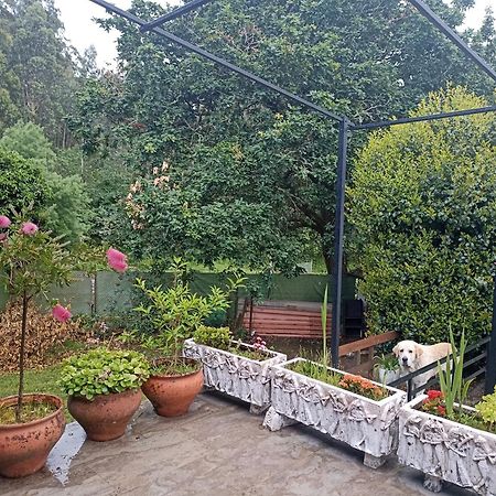 Cabana Monte Do Castro بورتو دو سون المظهر الخارجي الصورة