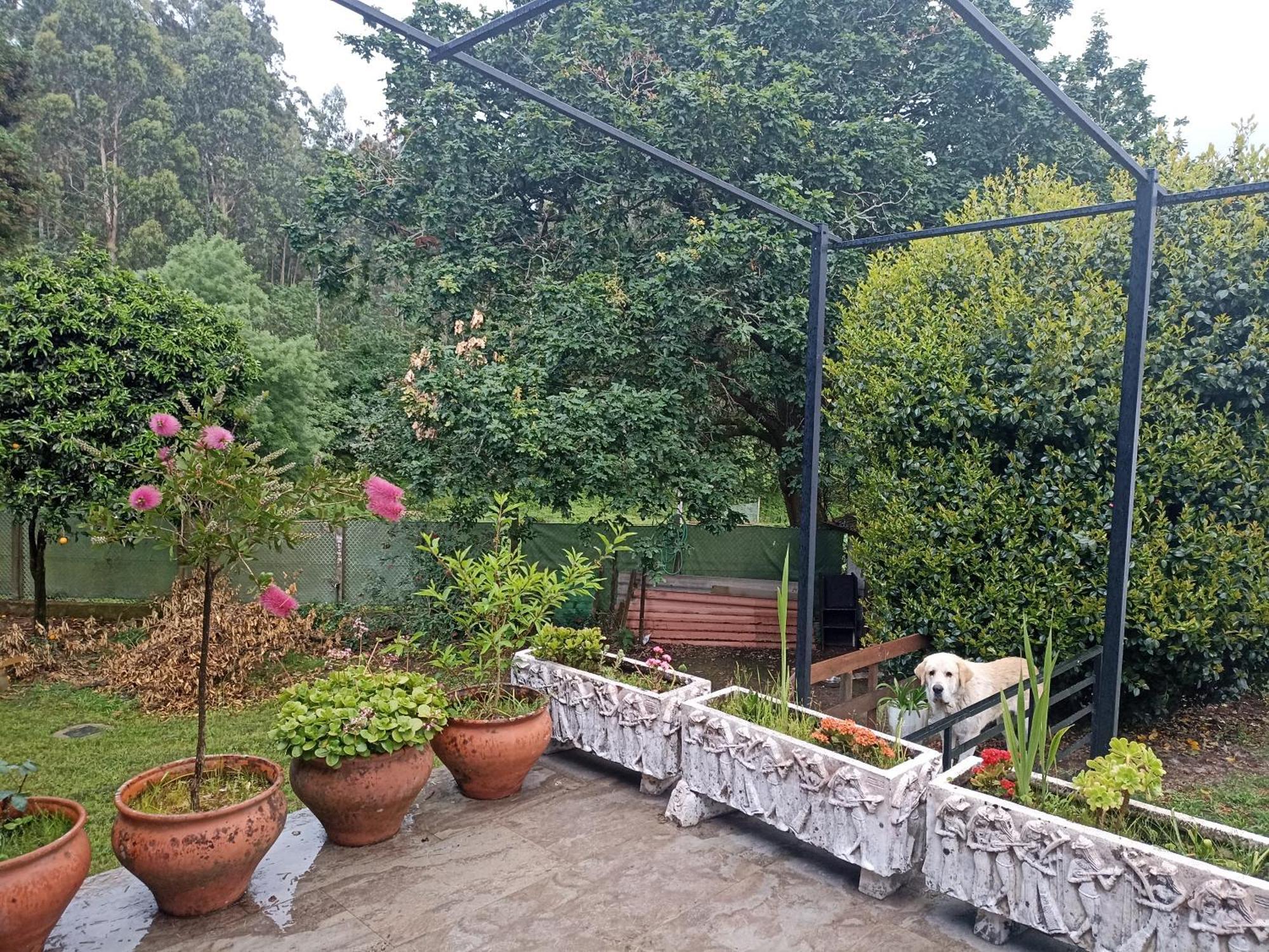 Cabana Monte Do Castro بورتو دو سون المظهر الخارجي الصورة